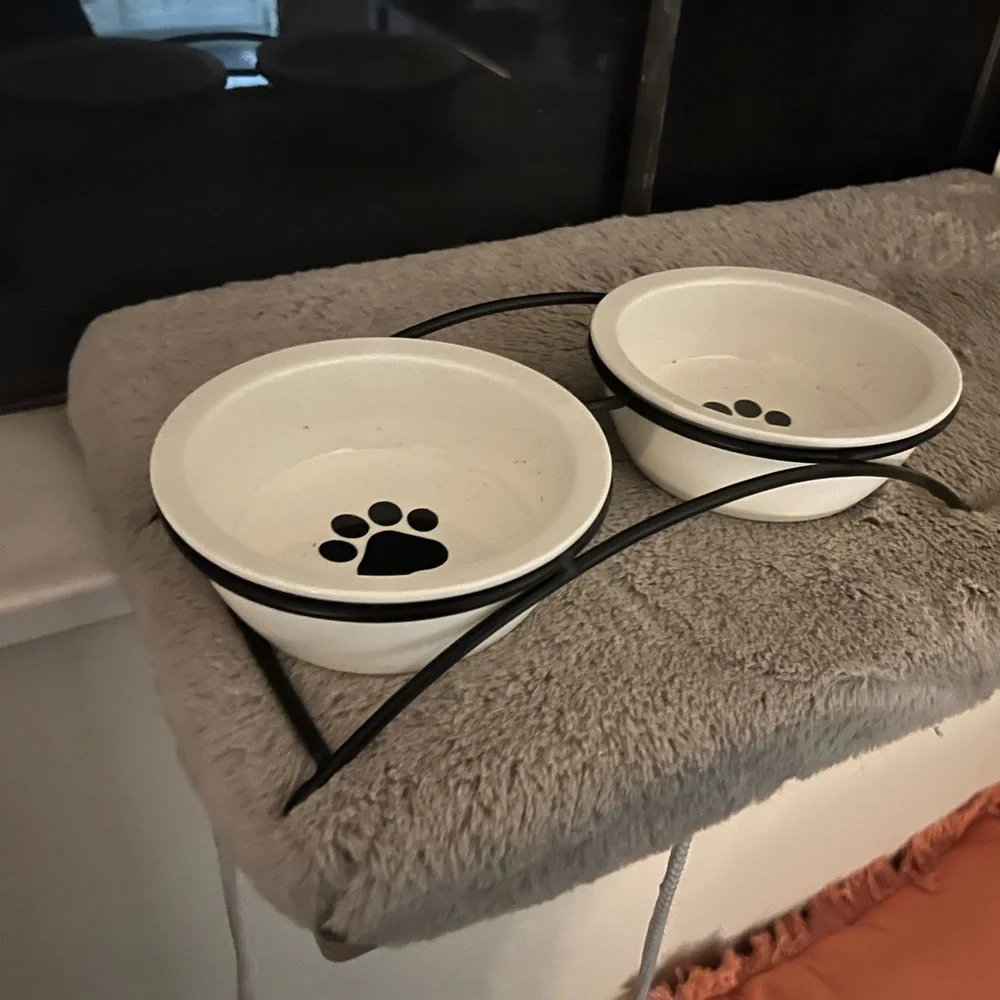 Car bowls